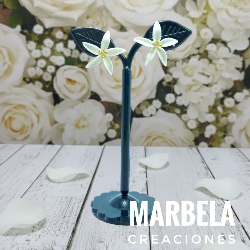 ✨COLECCIÓN LIZ✨