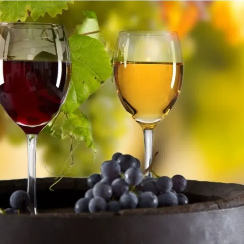 VINO POR COPA TINTO / BLANCO