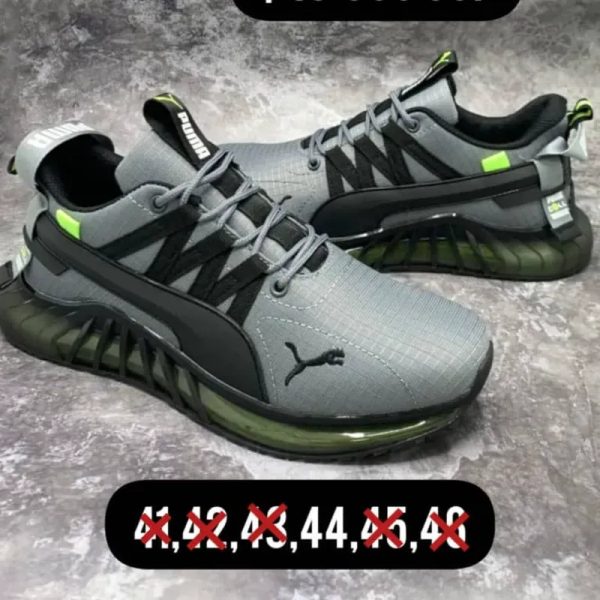 Puma gris