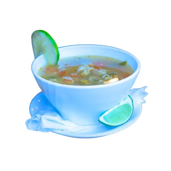 SOPA DEL DÍA