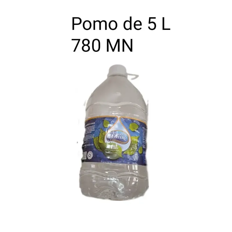 Pomo de Agua de 5L