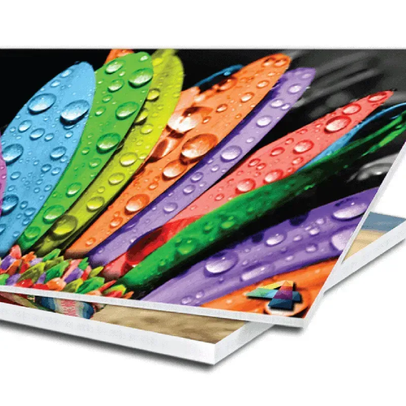 Carteles de Vinilo sobre PVC [A COTIZAR POR DIMENSIONES]