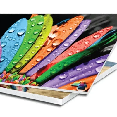 Carteles de Vinilo sobre PVC [A COTIZAR POR DIMENSIONES]