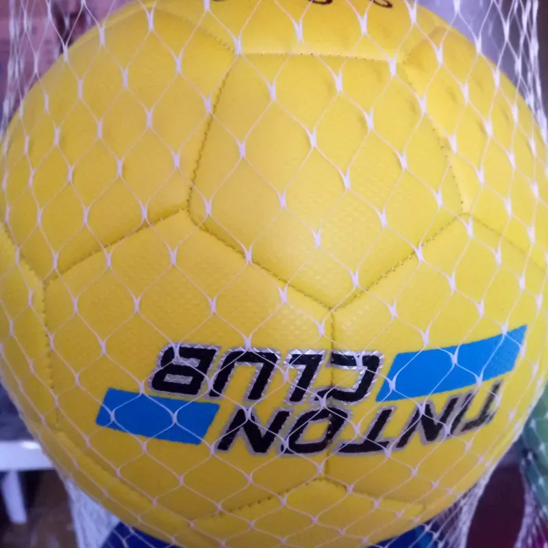 Pelota de futbol tinton