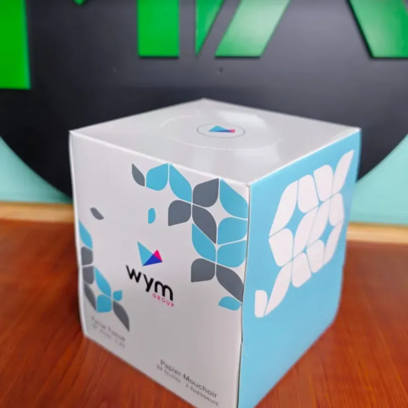 Servilletas Faciales Wym (94u)