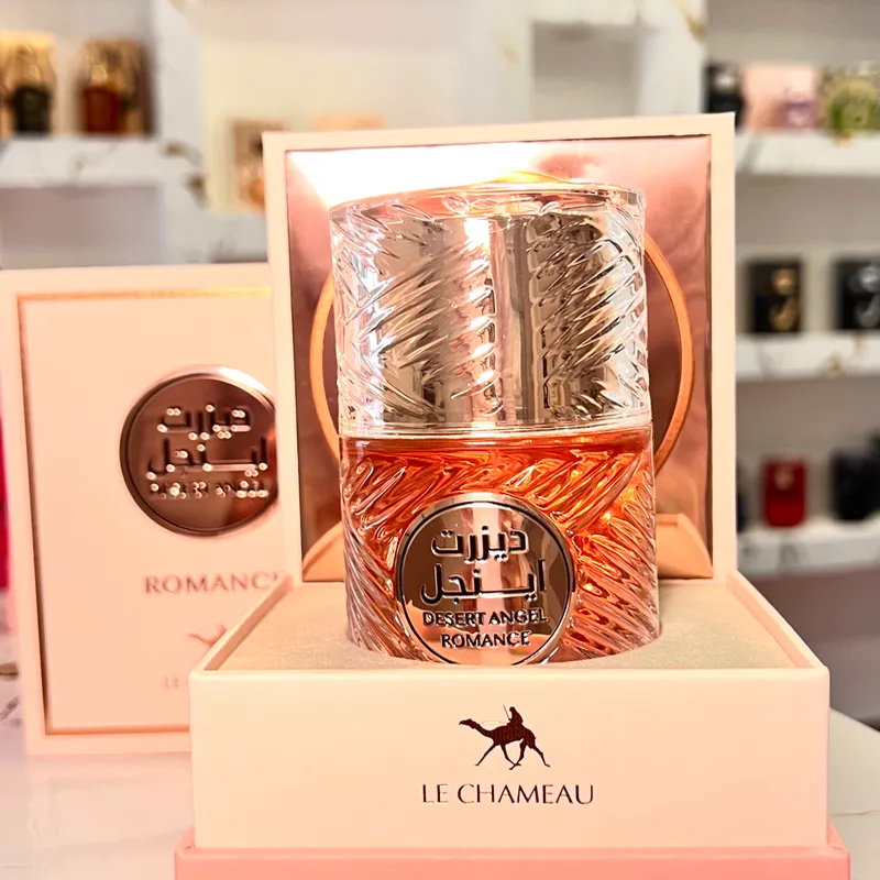 Desert angel romance