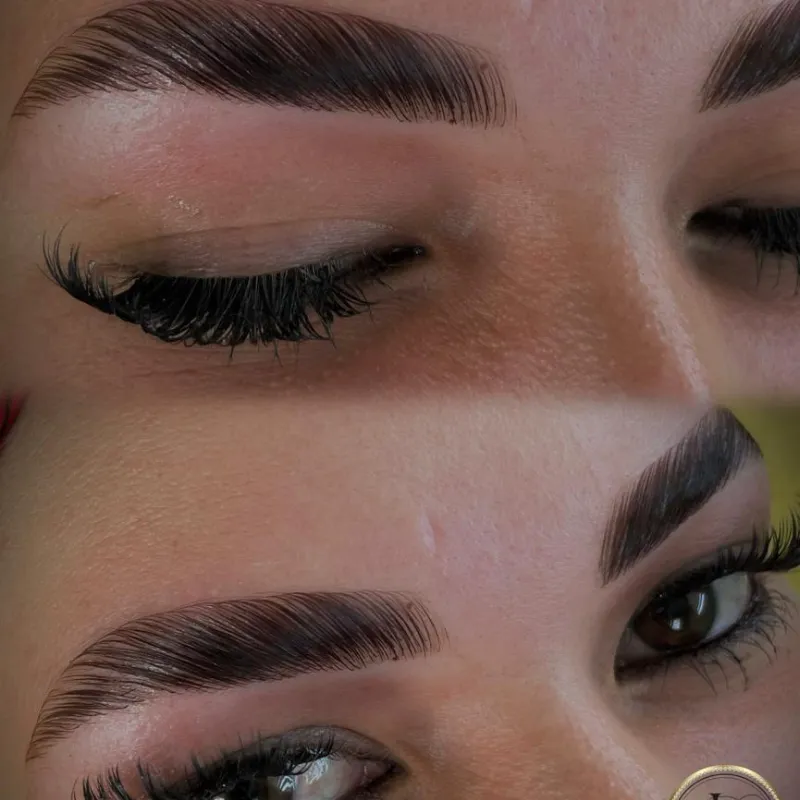 Laminado de Cejas ,Tinte de Henna y Depilación