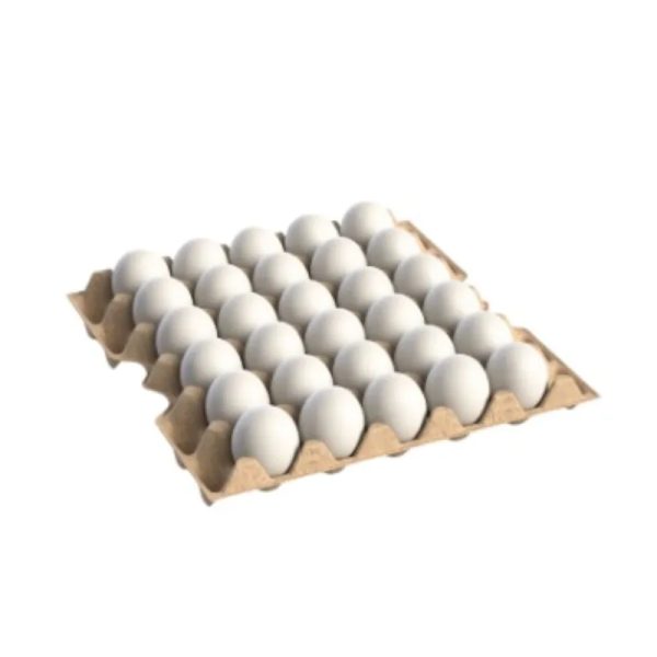 Huevos