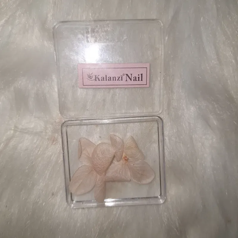 Naturaleza Muerta cajita pequeña