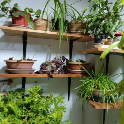 Tablones  (Por Encargo)