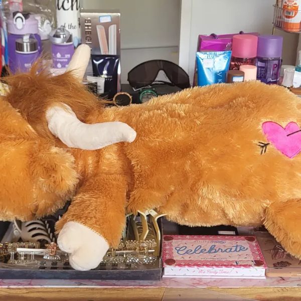Peluche