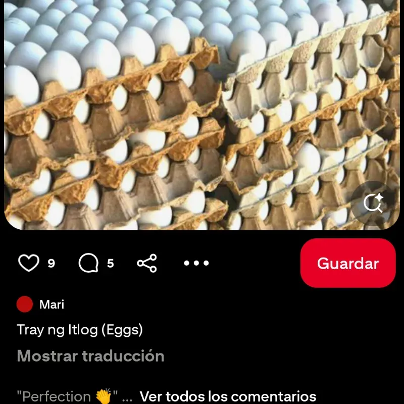 Cartón de huevos