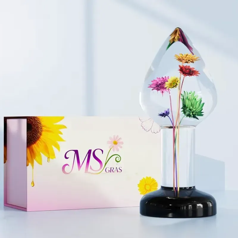 ‼️Plug Anal Spring‼️