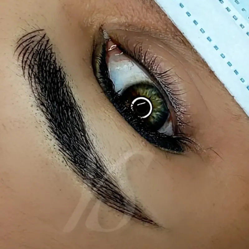 MICROBLADING_Cejas “pelo a pelo”