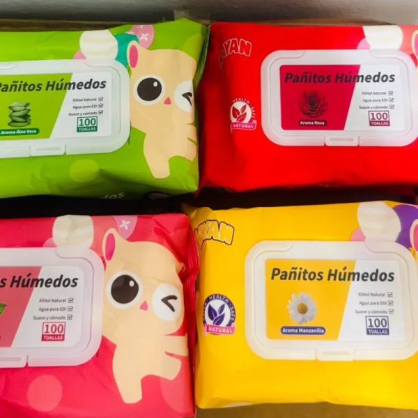 Toallas húmedas 100 unidades