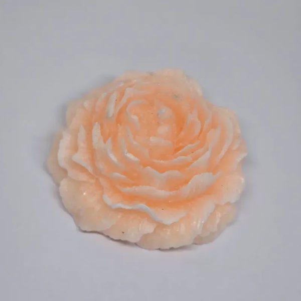 Flor de peonia