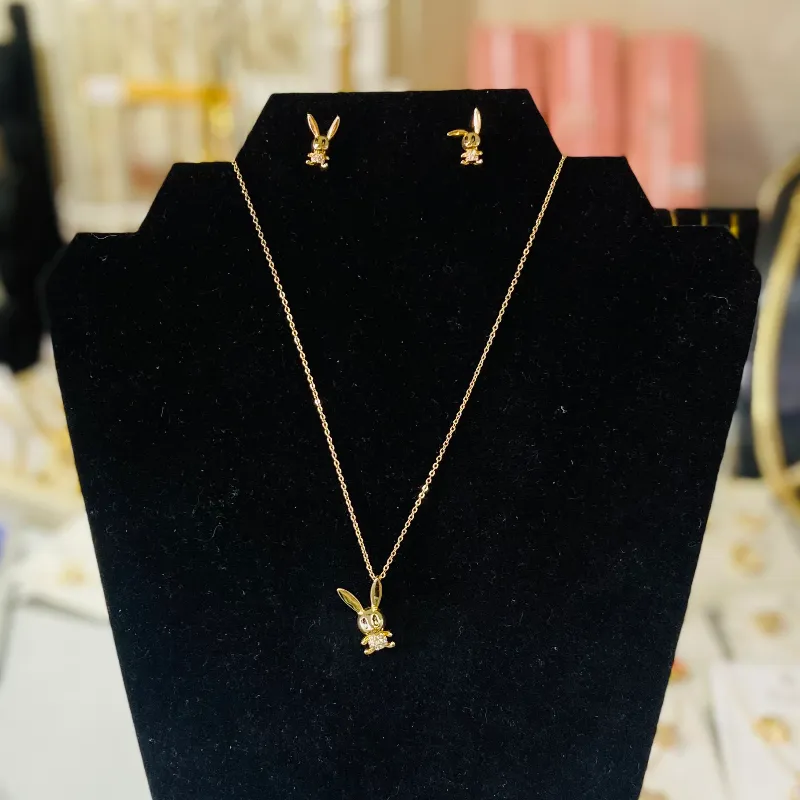 Set de cadenas y aretes ✨