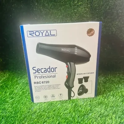 Secador de pelo Profesional Royal