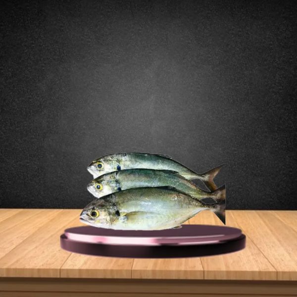 Pescado De Mar cojinua(5LB)