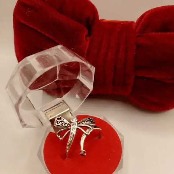 Anillo
