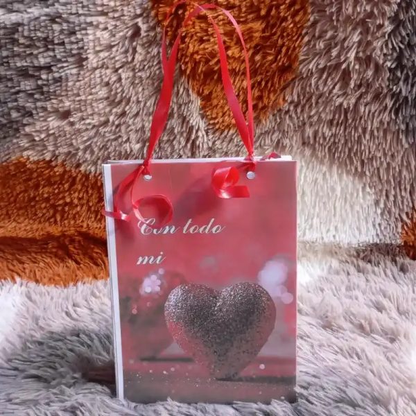 Bolsa de regalo