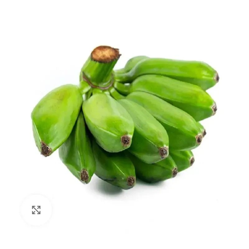 Plátano Burro(Burros)