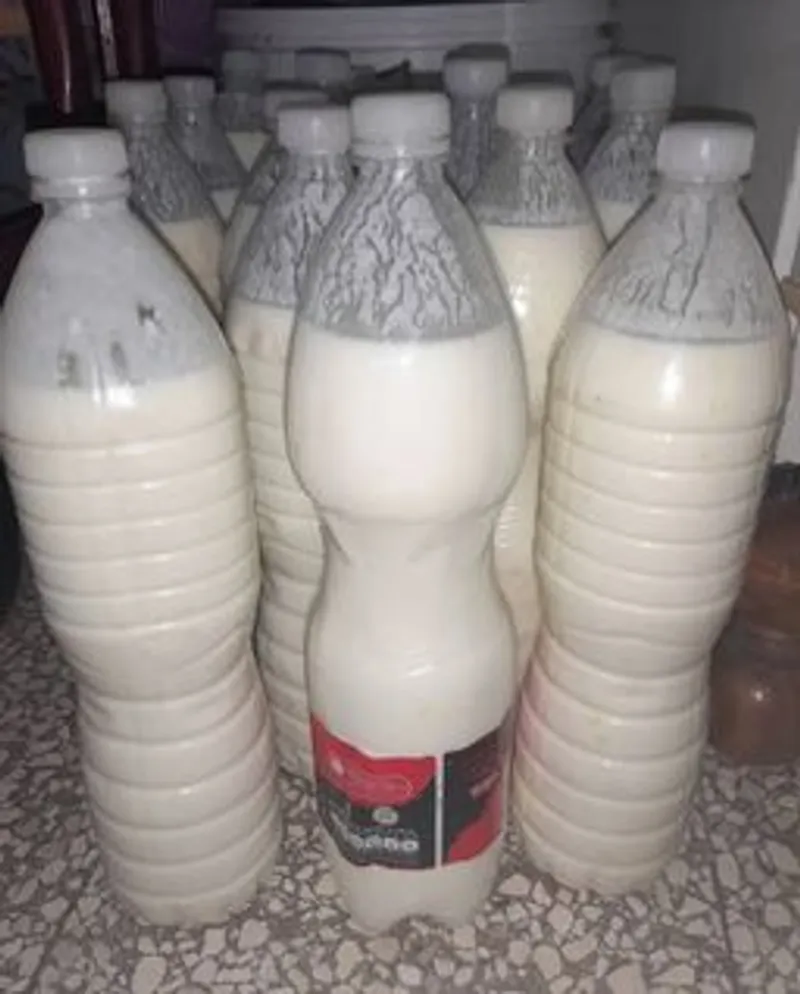 Yogurt Natural (1.5 Lts)