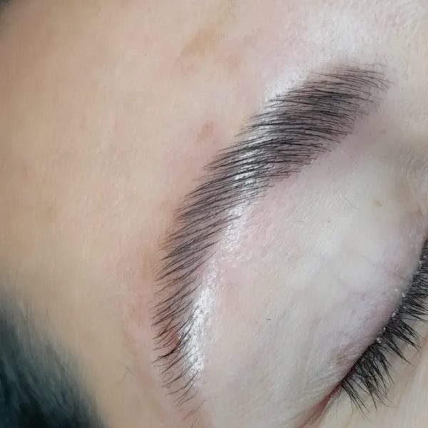 Laminado de Cejas