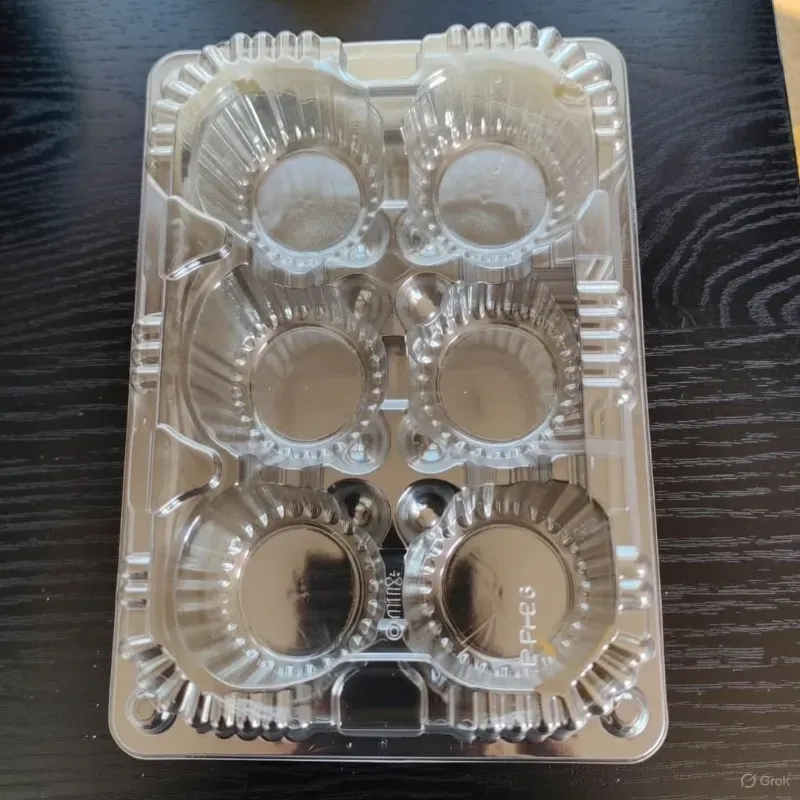 Termopack  6-Divisiones  (C-B/A1217)