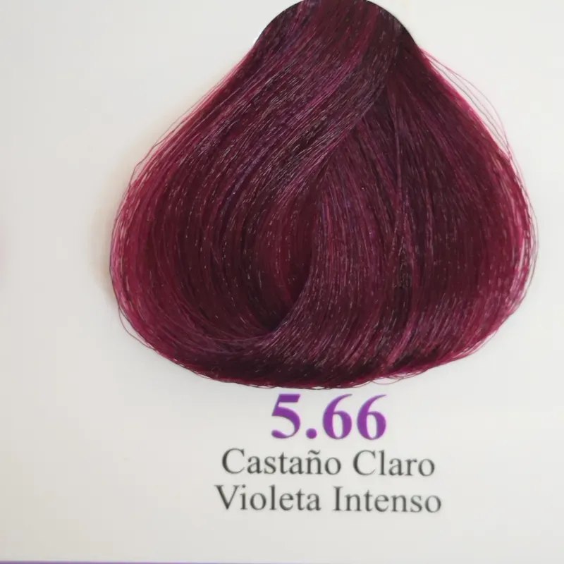 5.66-Castaño Claro Violeta Intenso
