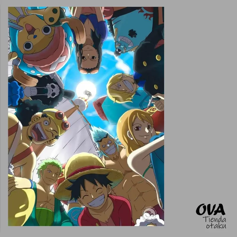 ‍☠️ Poster One Piece