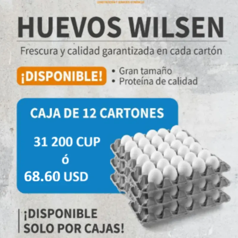 CAJA DE HUEVO WILSEN (12 CARTONES)