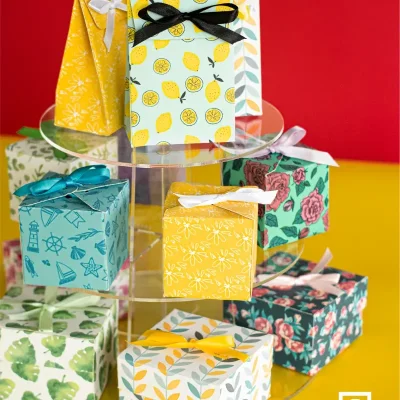 Cajas de cierre con cinta