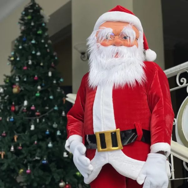 PAPA NOEL