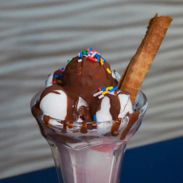 Pingüino de chocolate