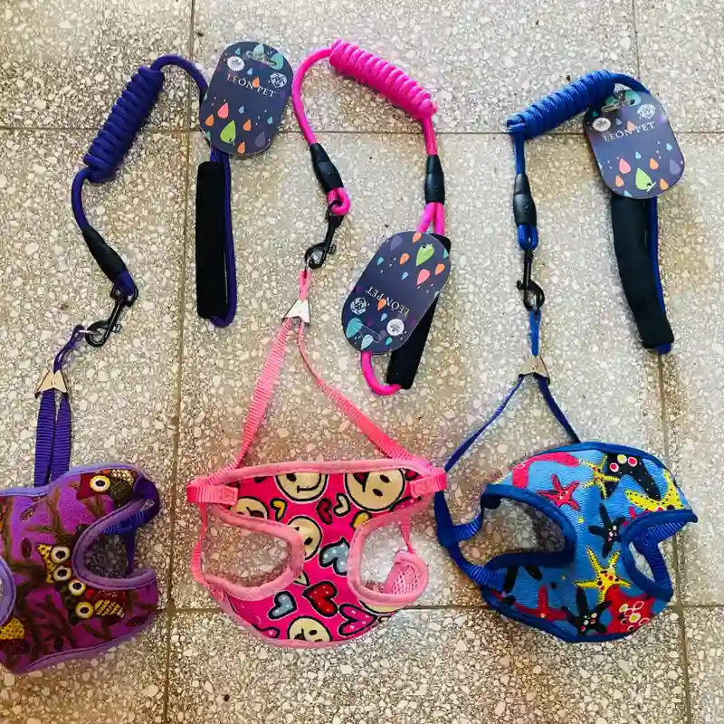 Set de Arnés con correa