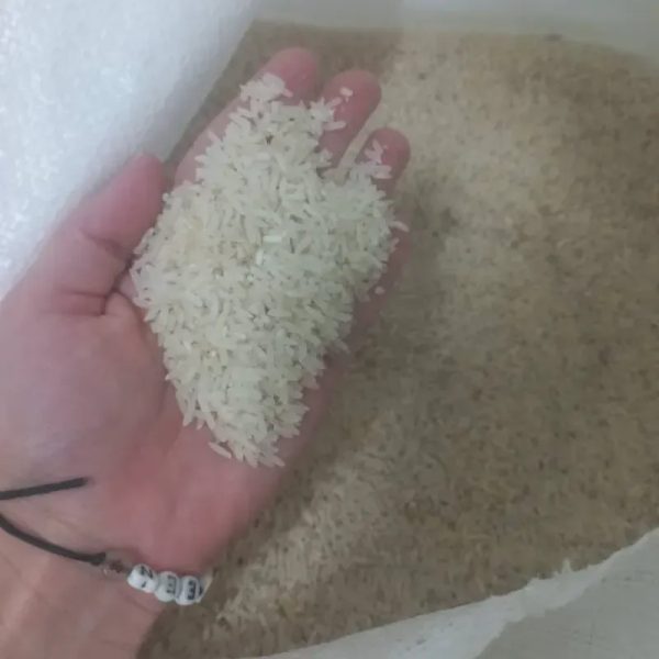 Arroz