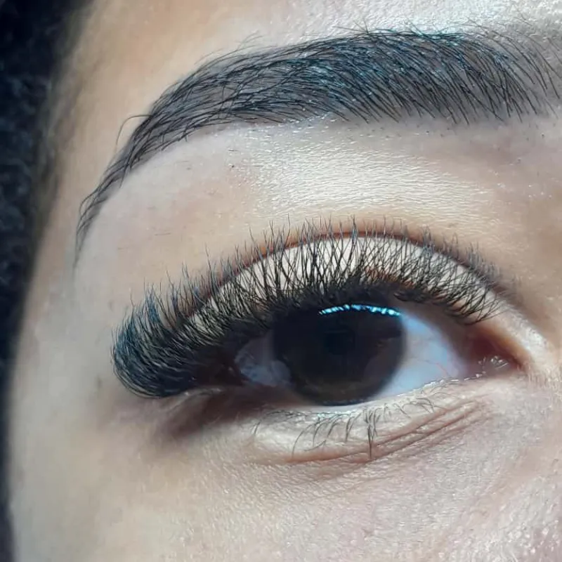 5D (Fibra Tecnológicas)