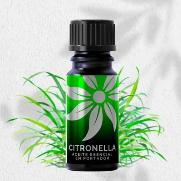 CITRONELA