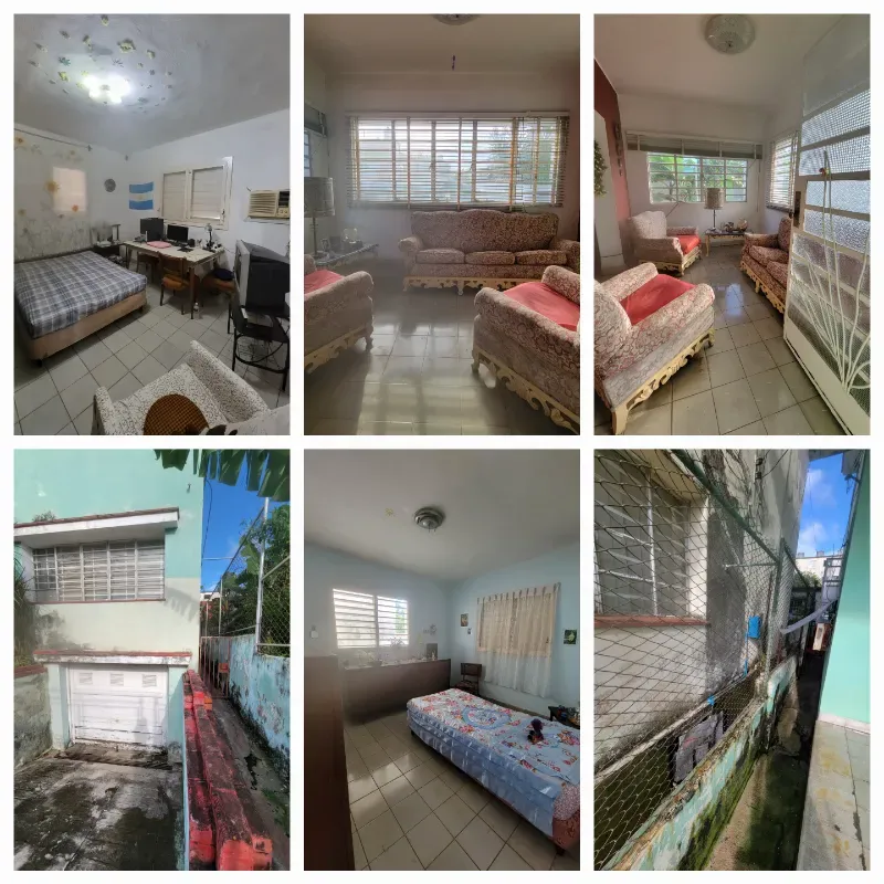 Biplanta en 10/10 por juan delgado