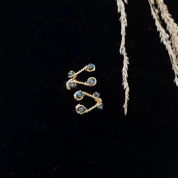 Anillo Ani