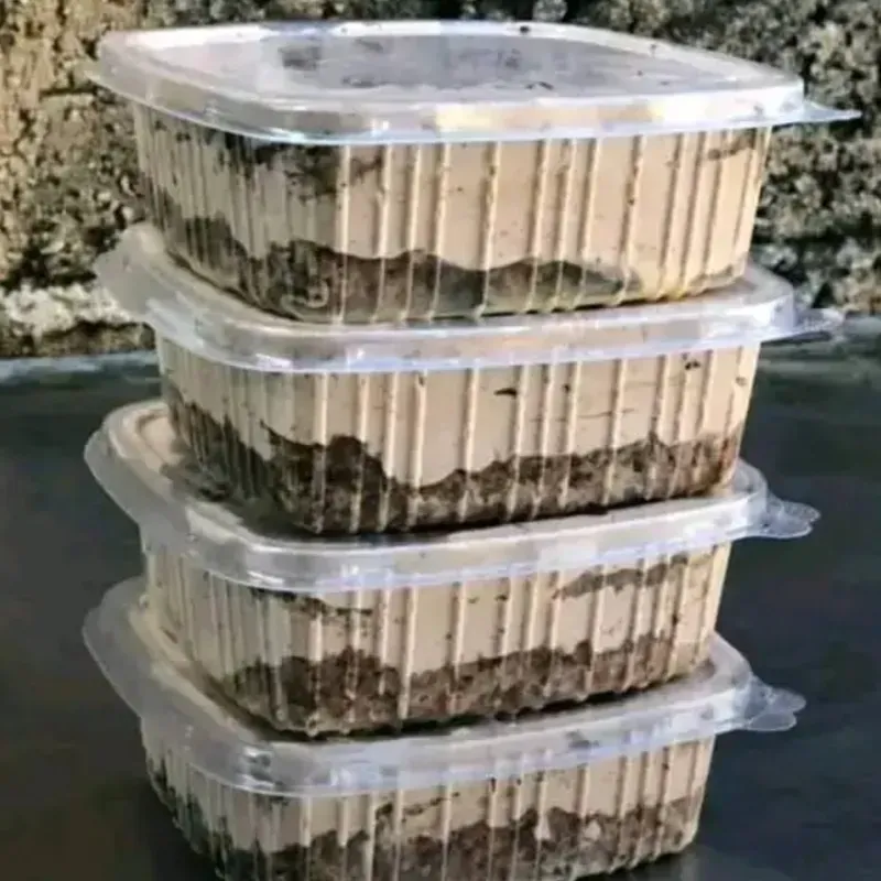 Porción 3 leches de chocolate