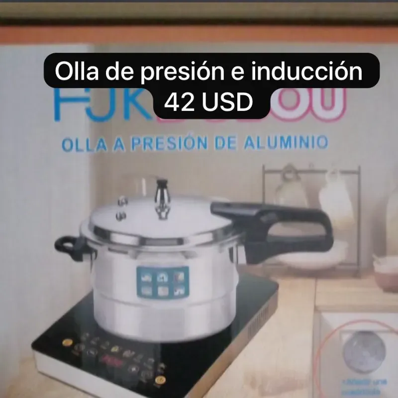 Olla de presión e inducción