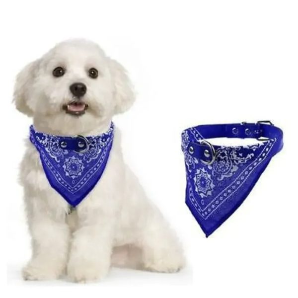 Collar de Bandana