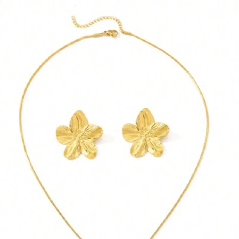 Conjunto de Cadena y aretes