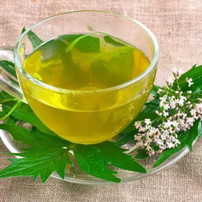 Té de Valeriana