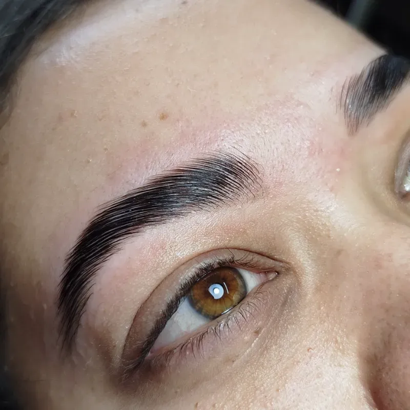 Laminado de cejas