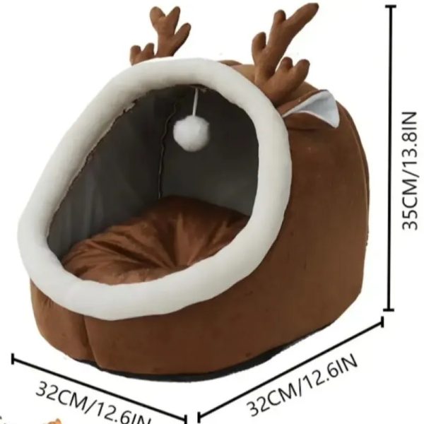 Cama