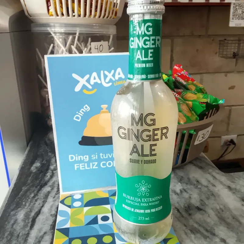Ginger Ale MG 275ml