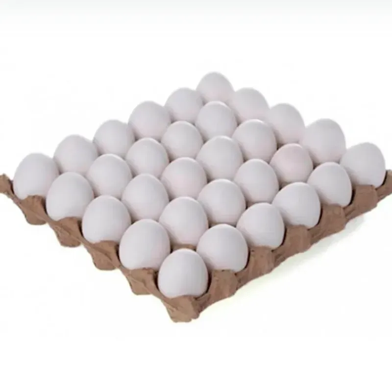 CARTON DE HUEVOS ( 30 unid )